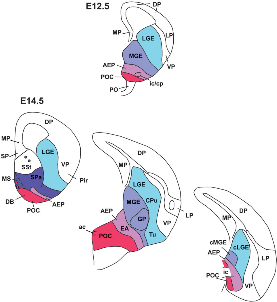 Fig. 15