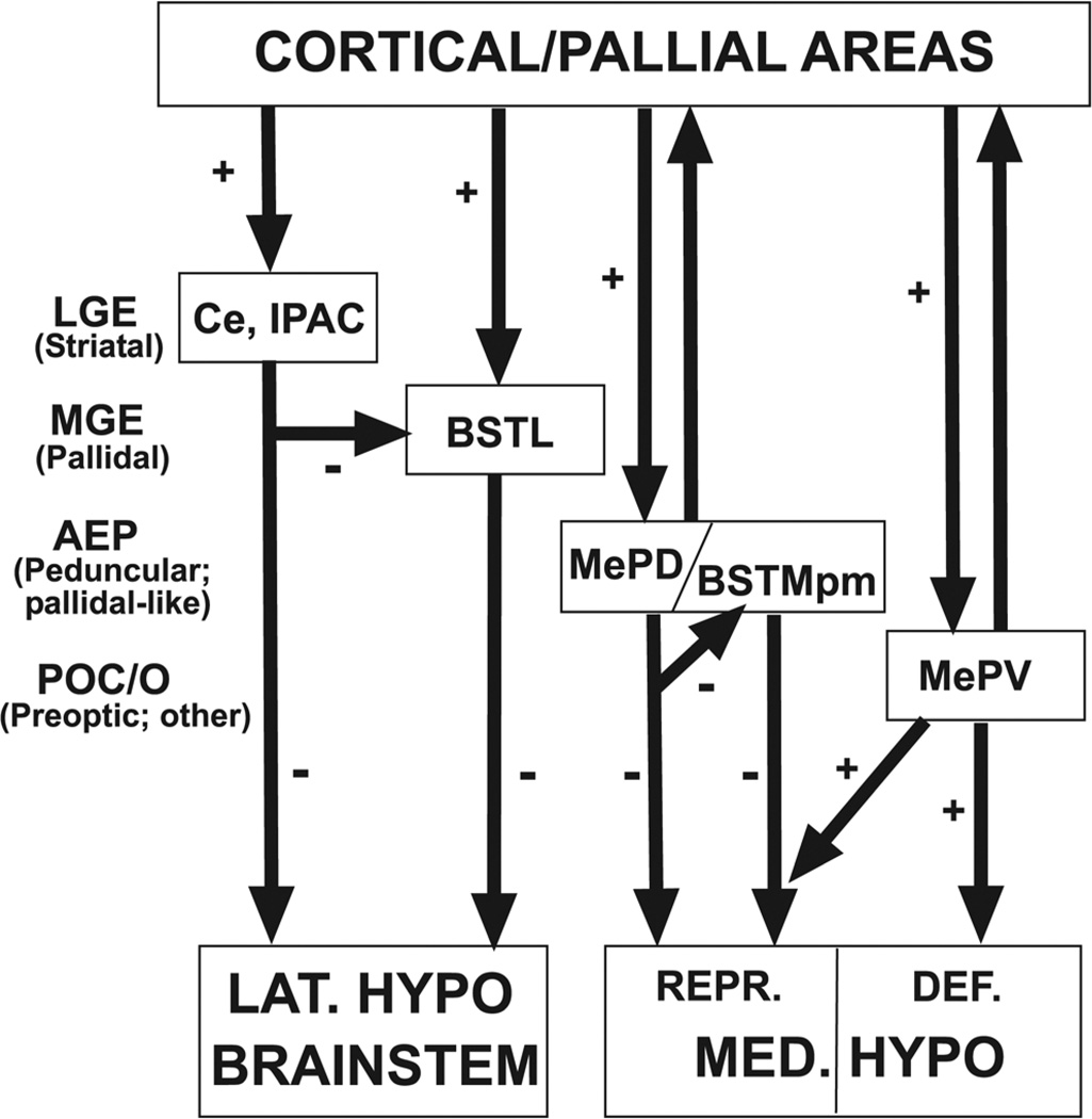 Fig. 17