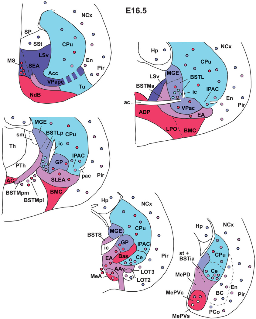 Fig. 16