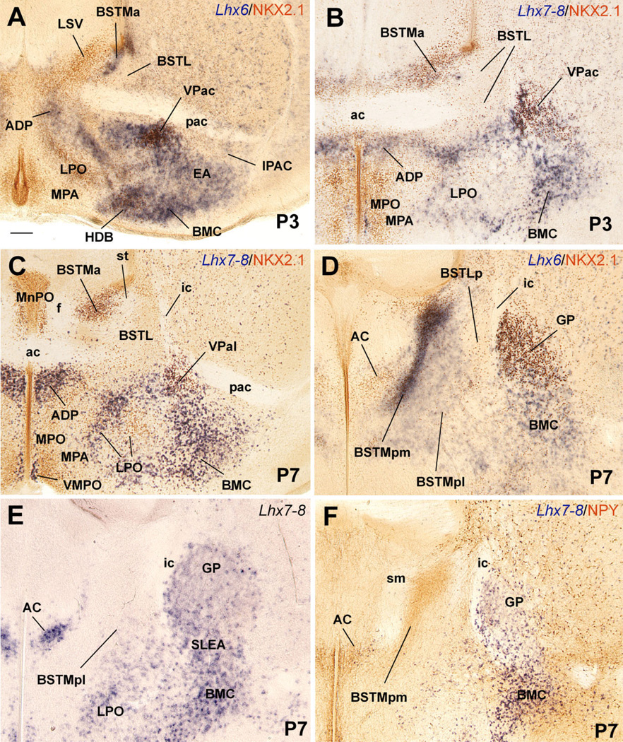 Fig. 13