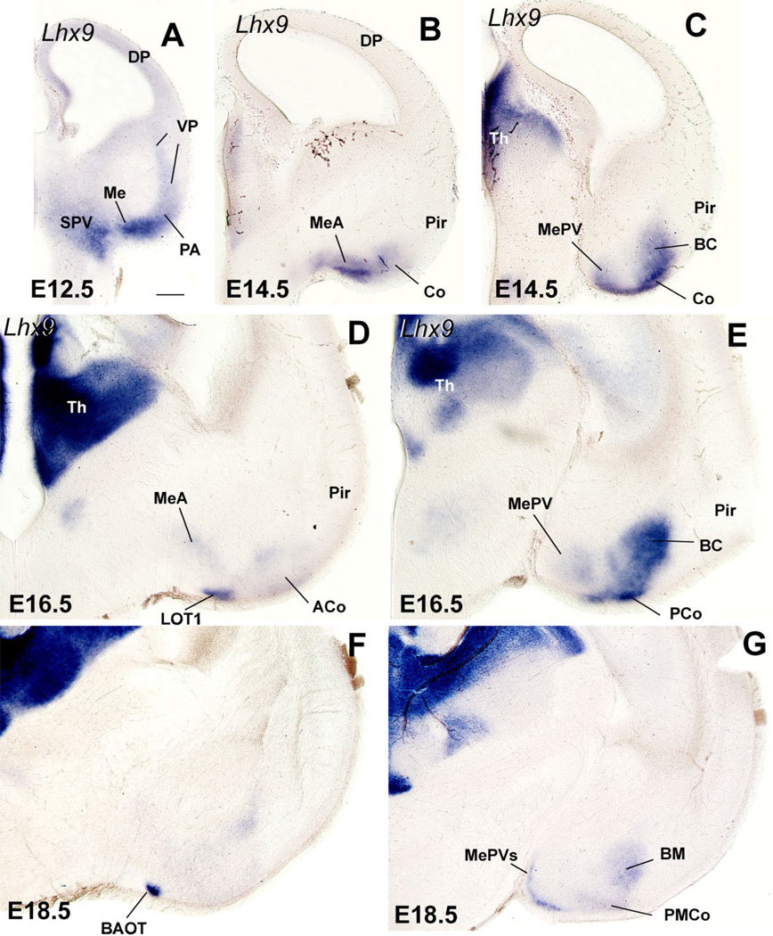 Fig. 14