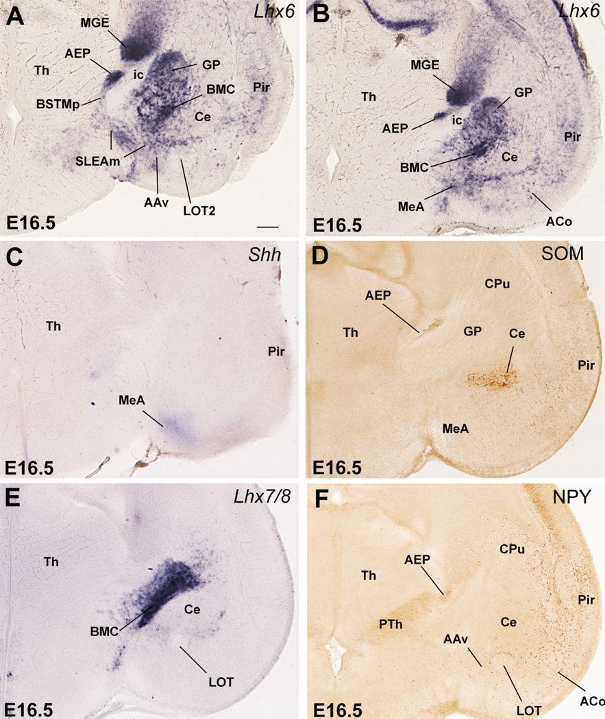 Fig. 9