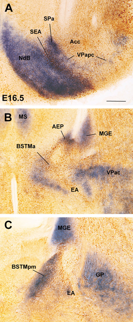 Fig. 11