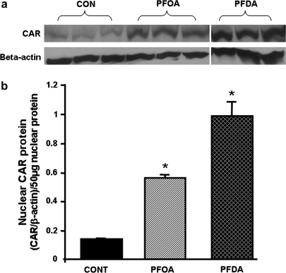 FIG. 9.