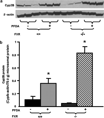 FIG. 8.