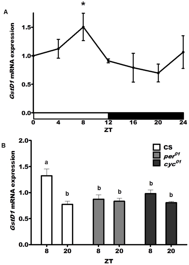 Figure 7