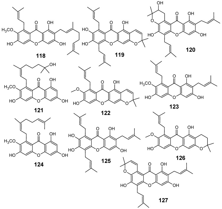 Figure 13