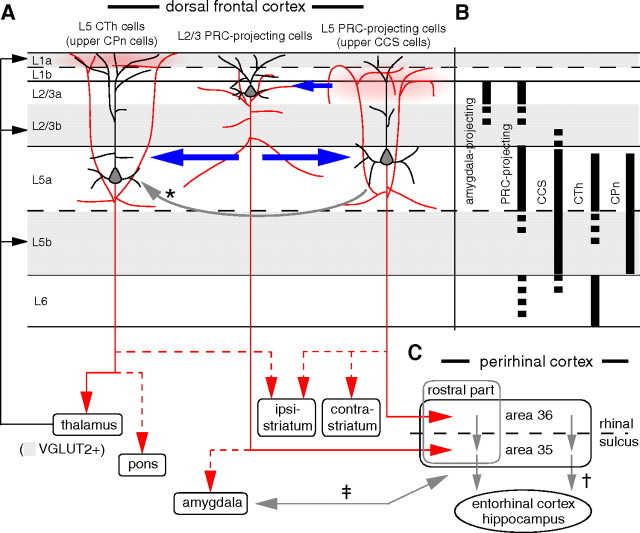 Figure 10.