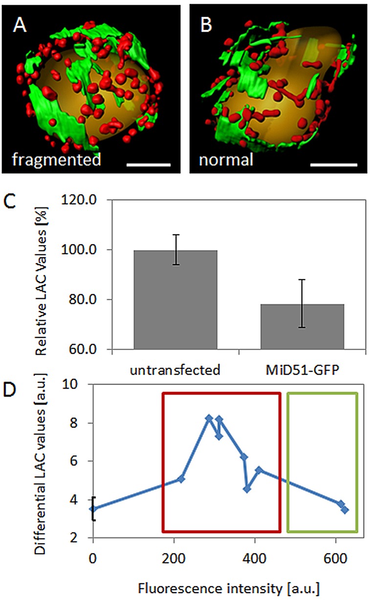 Fig. 8.