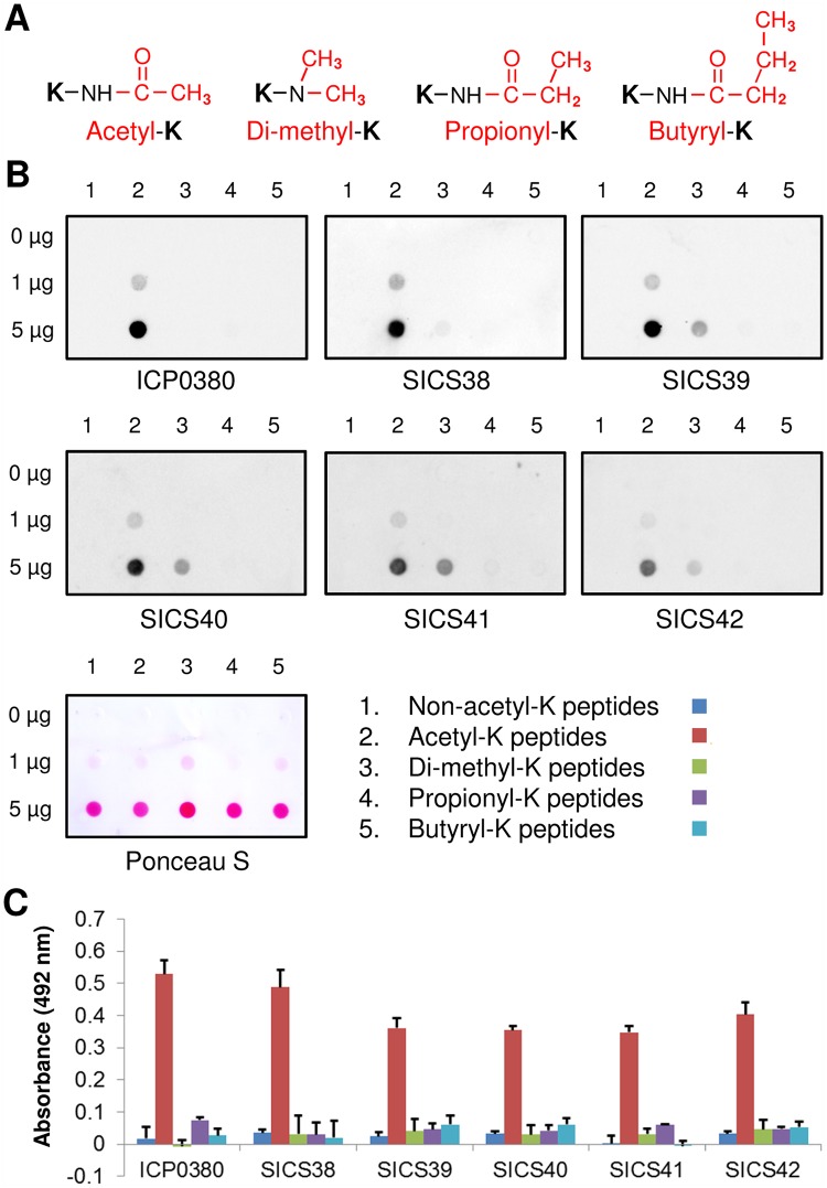 Fig 4