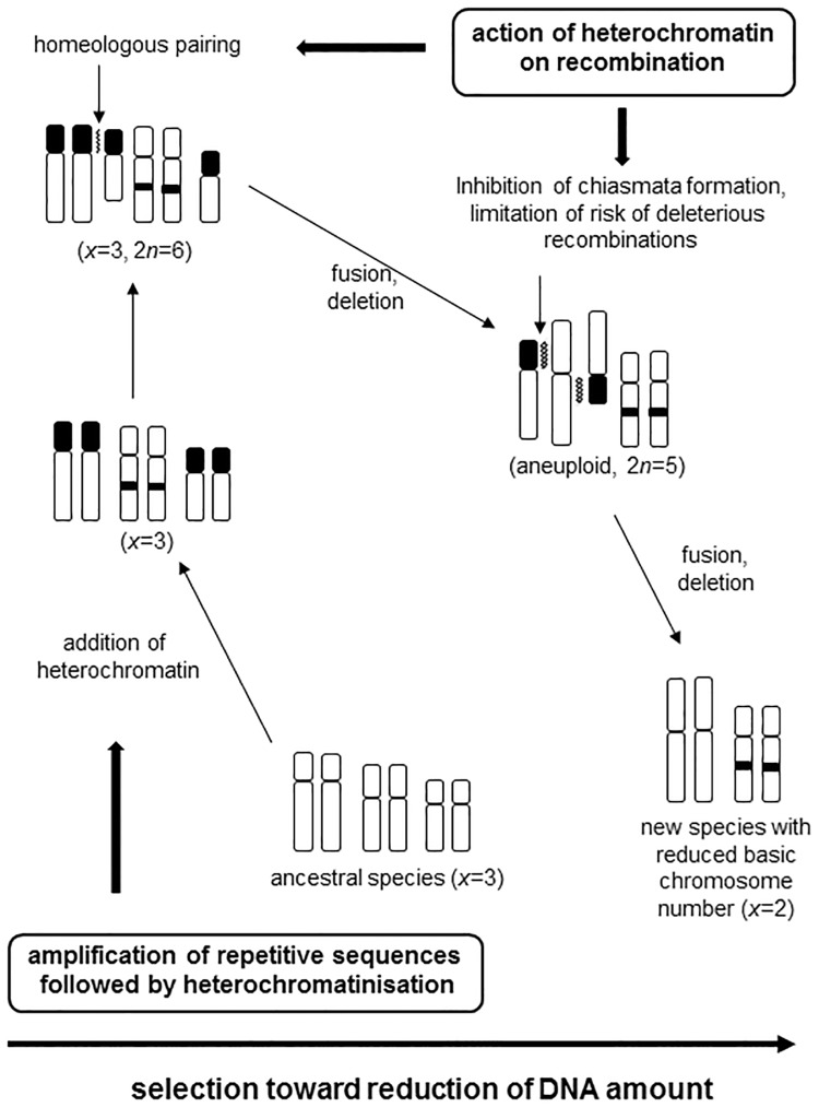 Fig 5