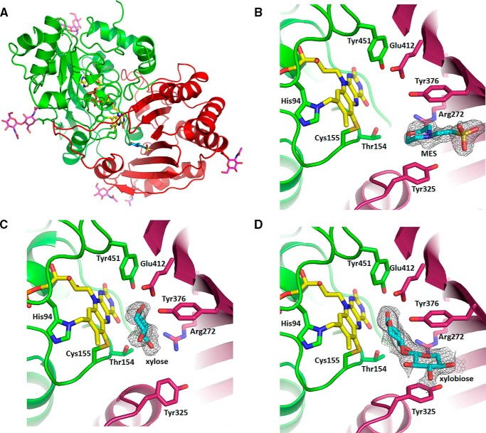 FIGURE 4.