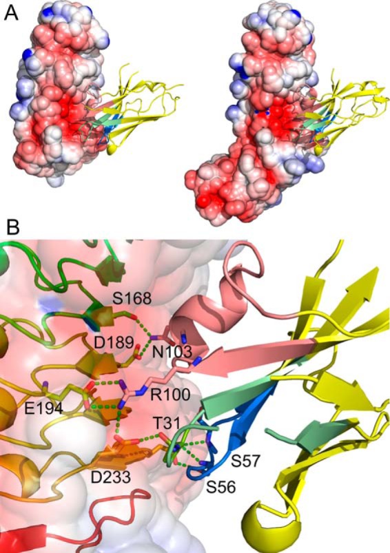 Figure 5.