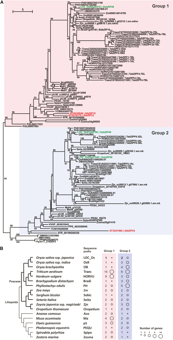 Fig. 2.