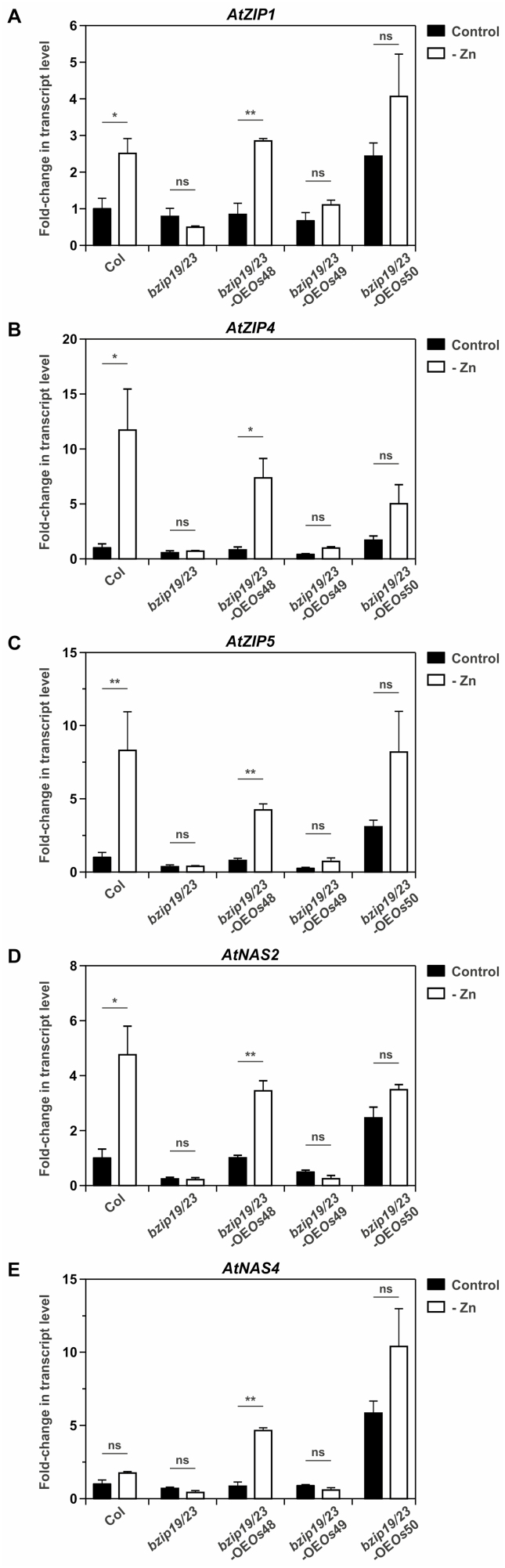 Fig. 7.