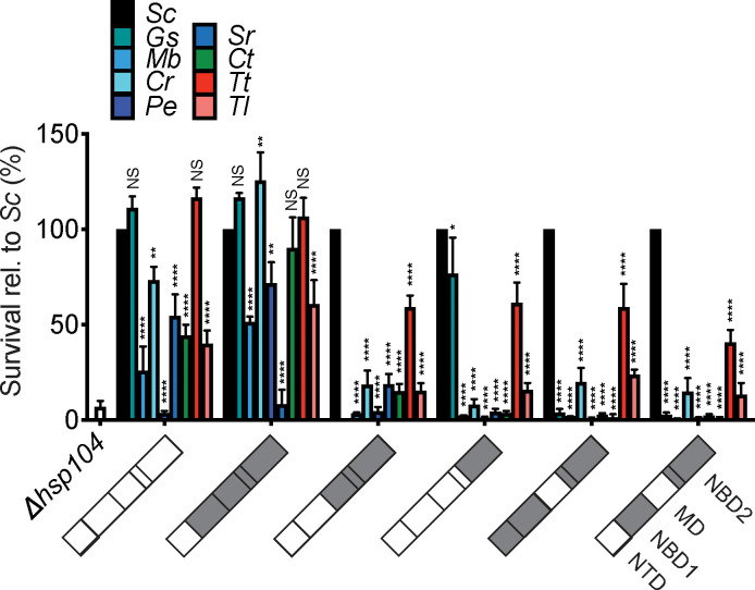 Figure 9—figure supplement 1.