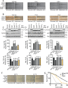 Figure 2—figure supplement 3.