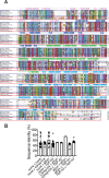 Figure 2—figure supplement 2.