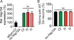 Figure 4—figure supplement 1.