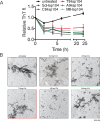 Figure 6—figure supplement 2.