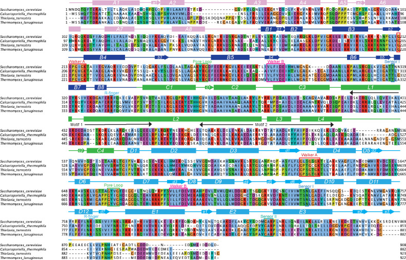 Figure 2—figure supplement 1.