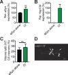 Figure 4—figure supplement 2.