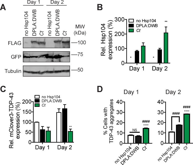 Figure 4—figure supplement 3.