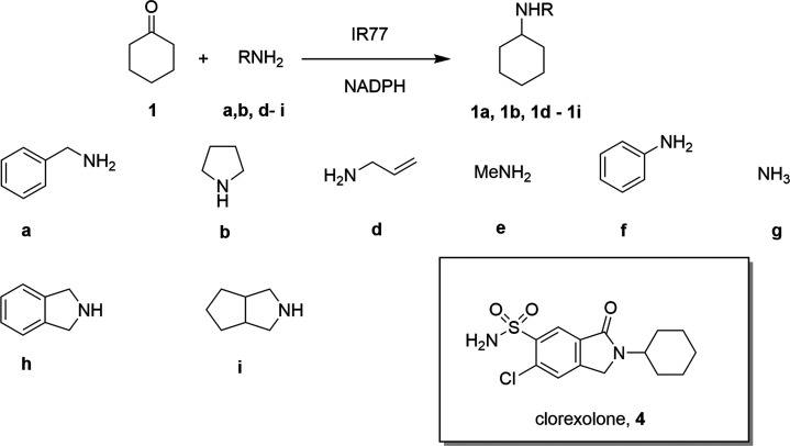 Scheme 3