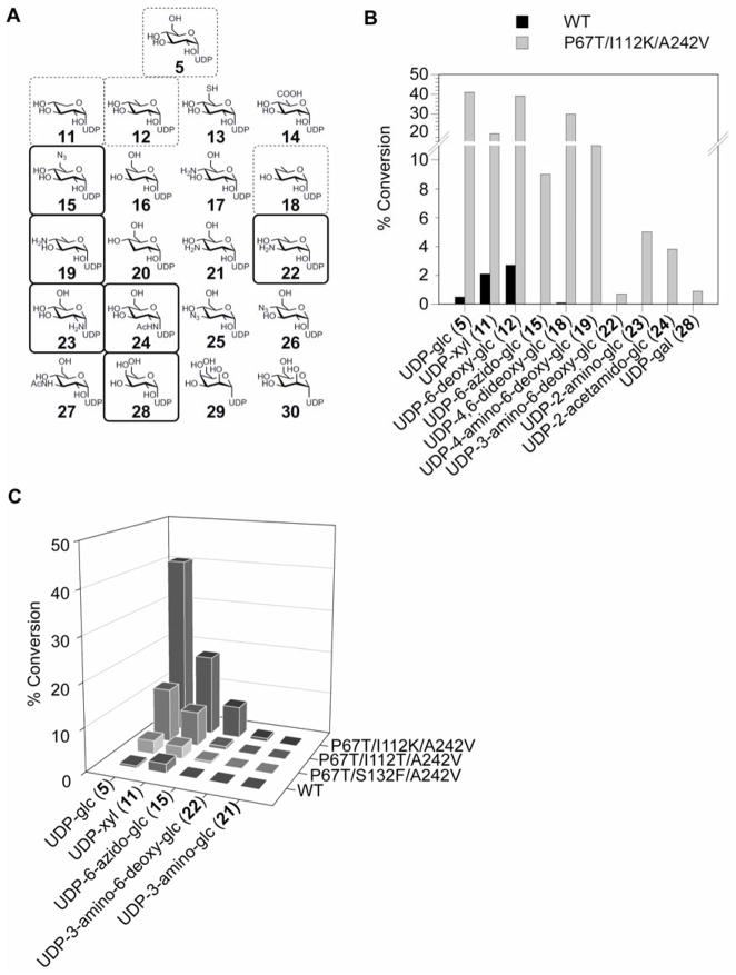 Figure 4