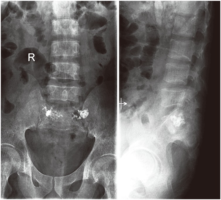 Fig. 7