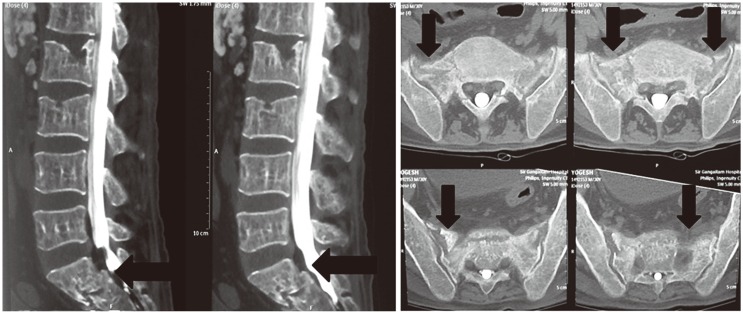 Fig. 5