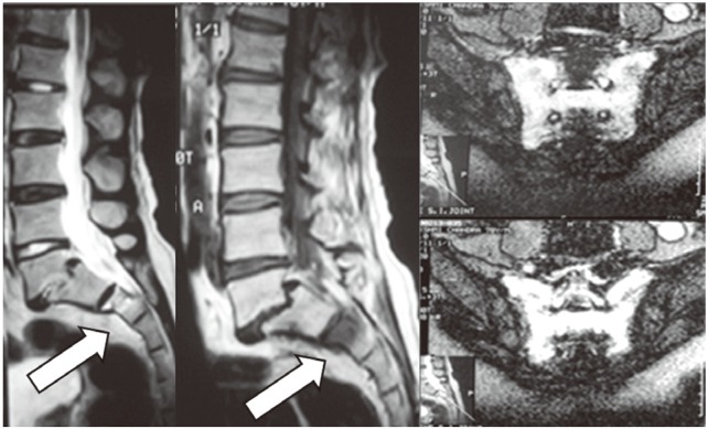 Fig. 8