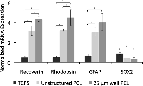 Fig. 4