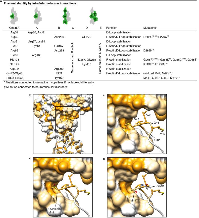 Extended Data Figure 4