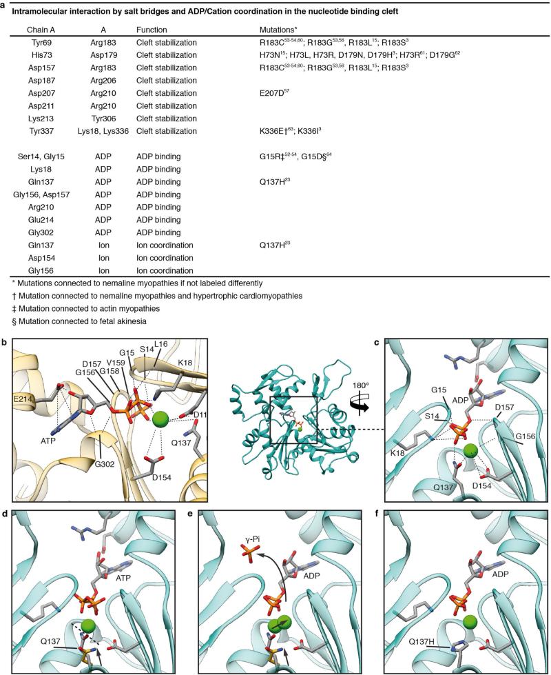 Extended Data Figure 6