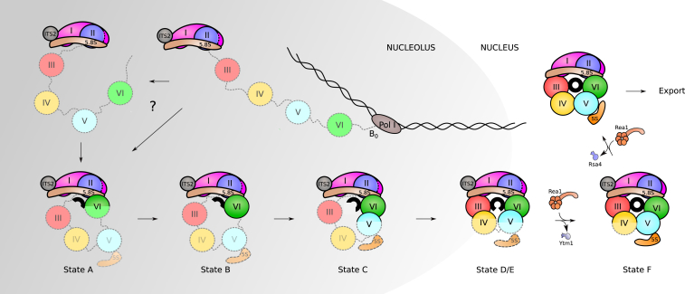 Figure 6