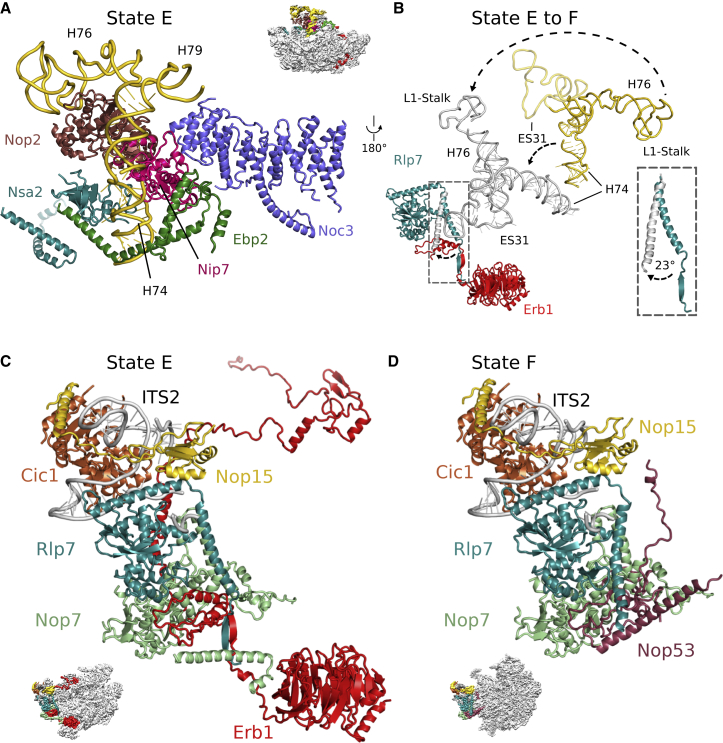 Figure 4