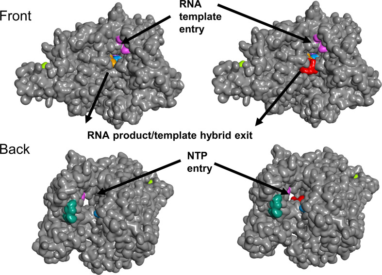 Fig. 4.