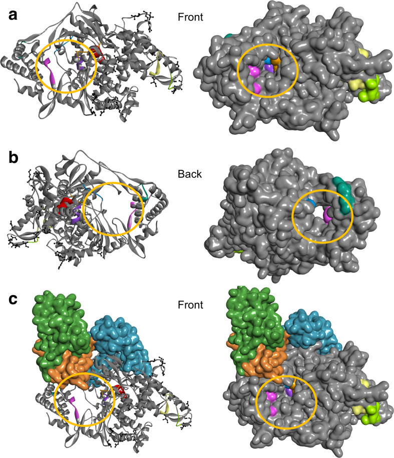 Fig. 2.