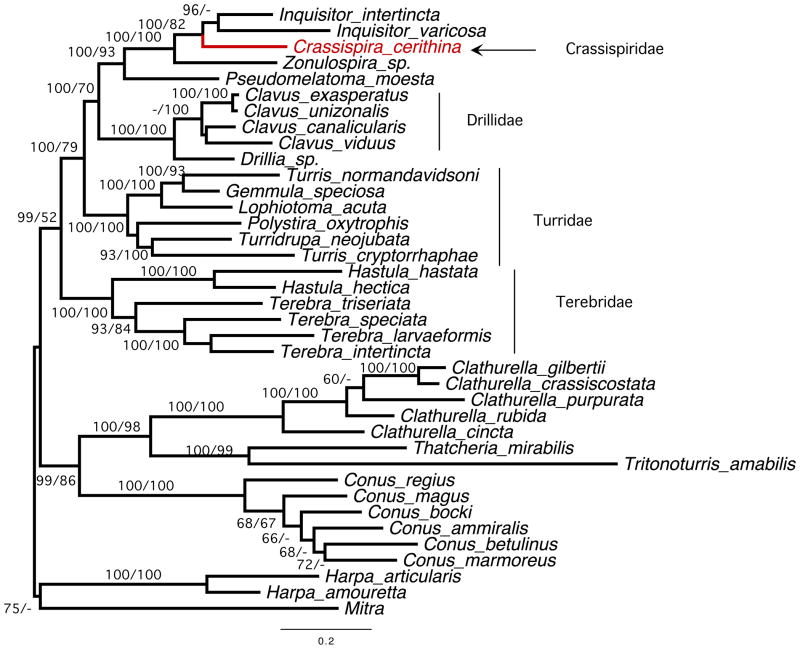 Fig. 2