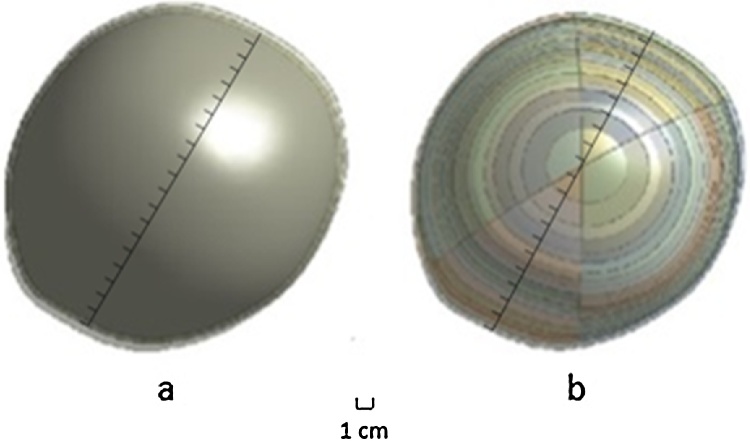 Fig. 3