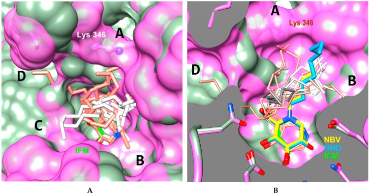 Figure 4