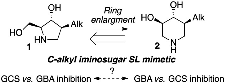 Scheme 2