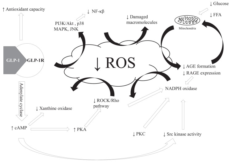 Fig. (3)