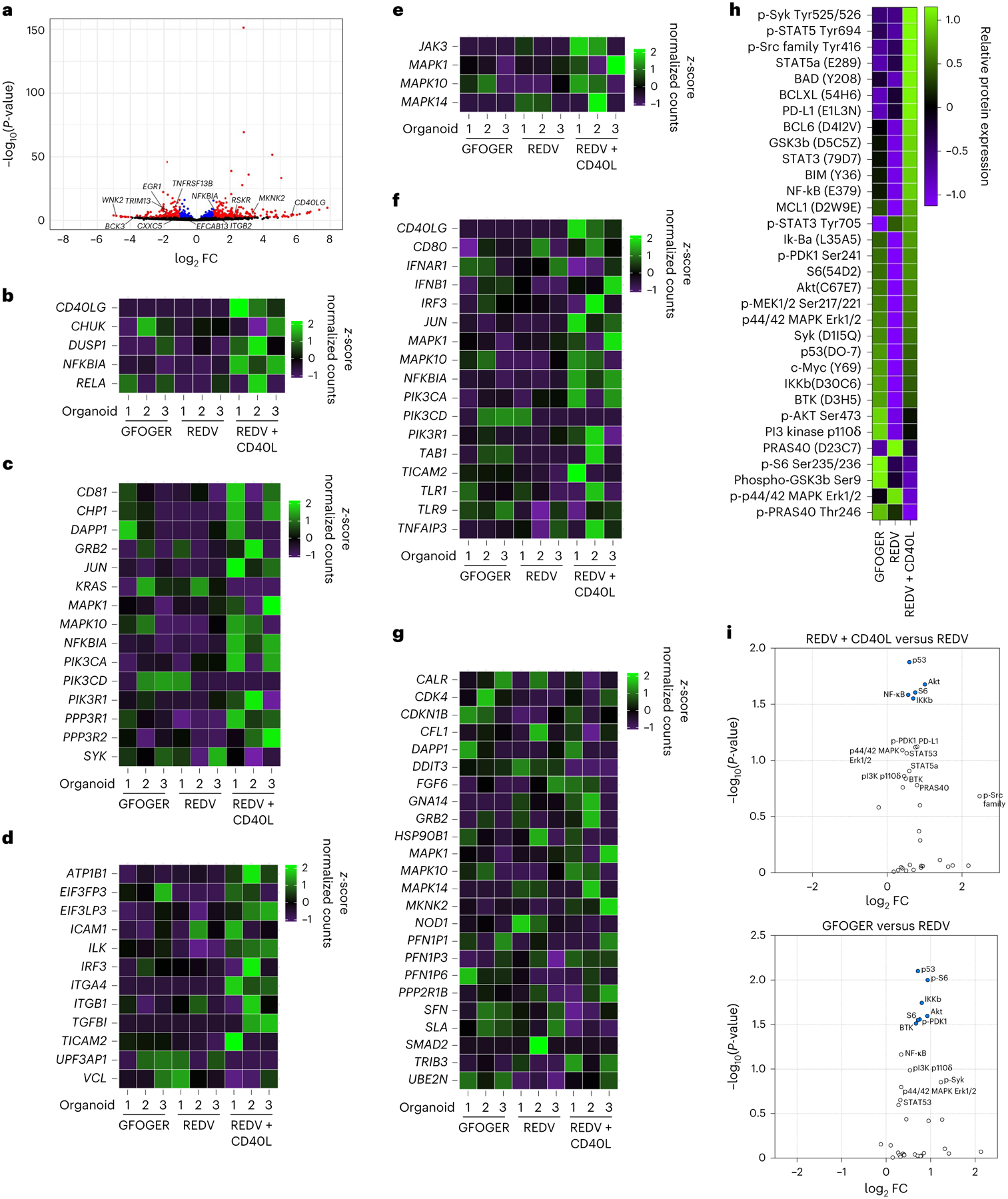 Fig. 4 |