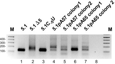 FIG. 4.