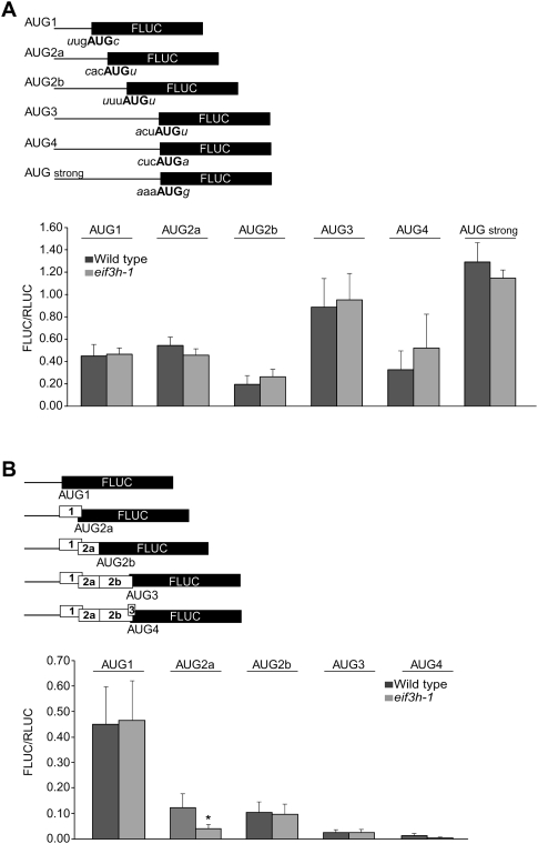 FIGURE 4.