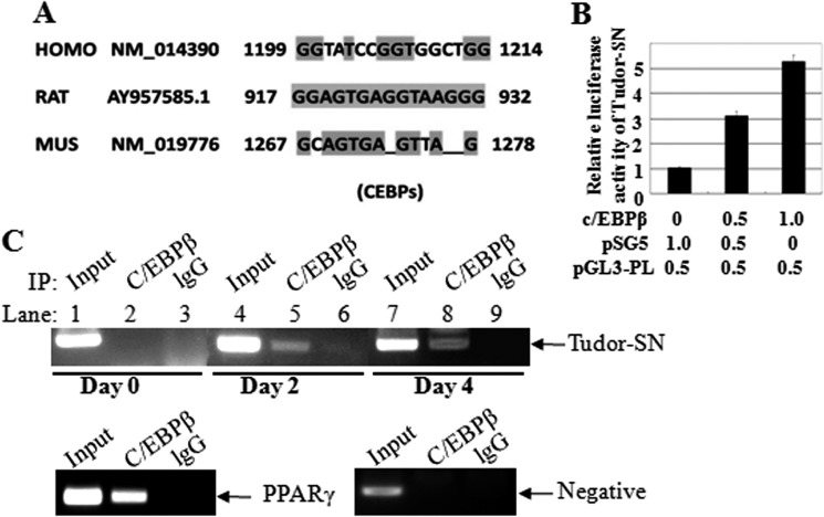 FIGURE 4.