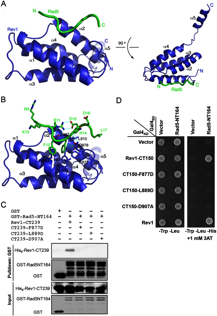 Figure 6.