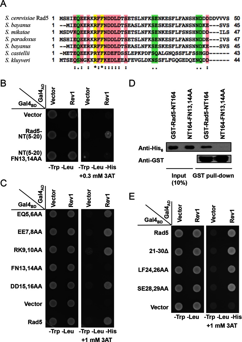 Figure 2.